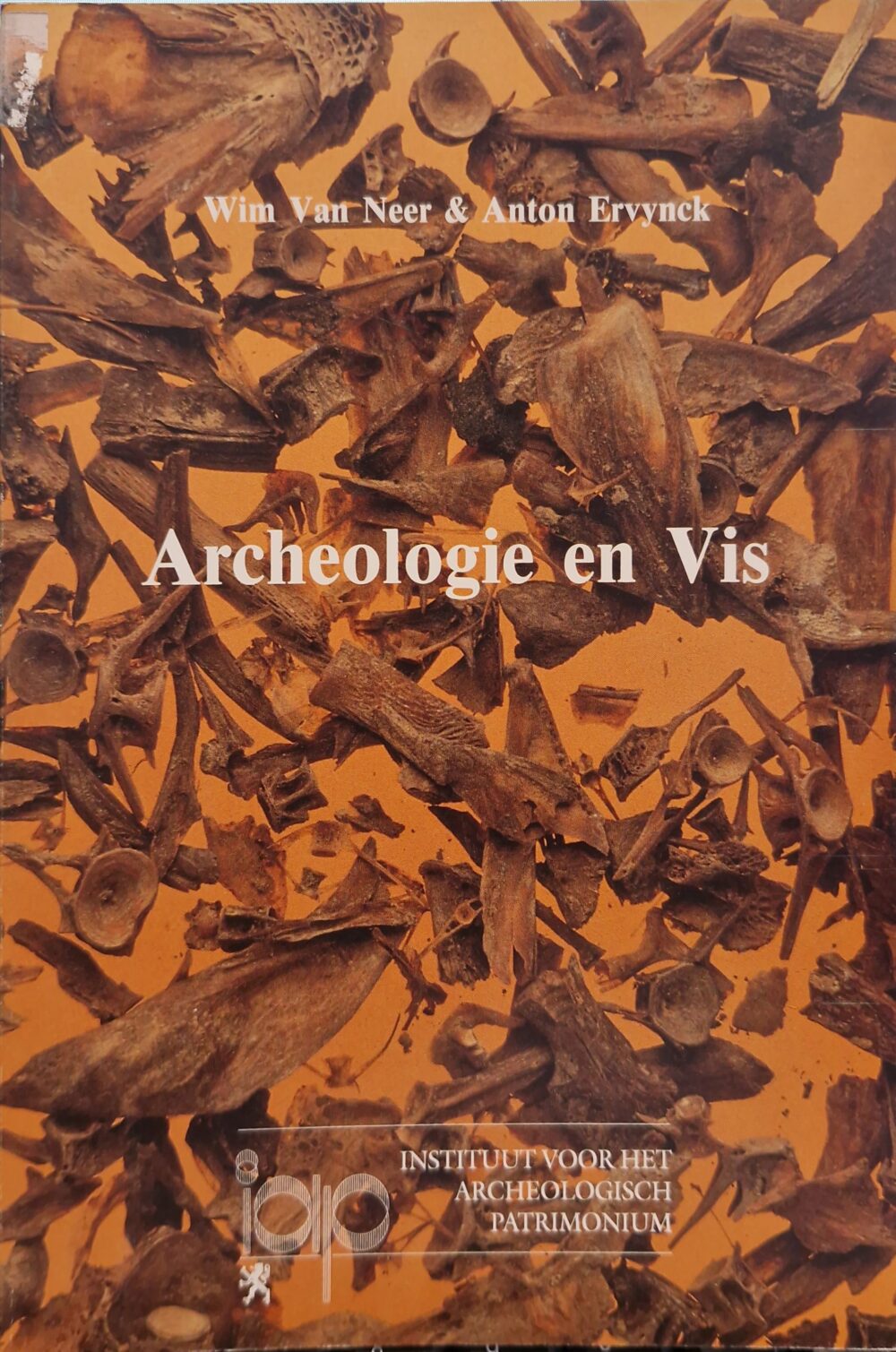 "Archéologie en Vis", 1993