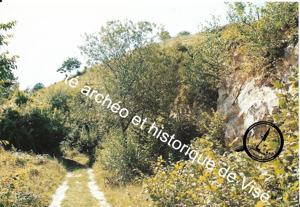 Carte postale - Lanaye "La montagne Saint-Pierre"
