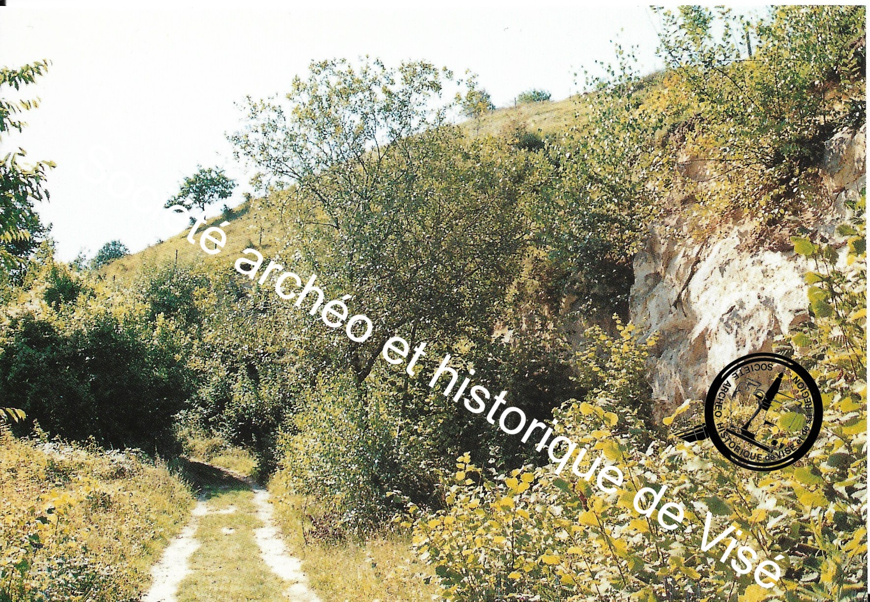 Carte postale - Lanaye "La montagne Saint-Pierre"