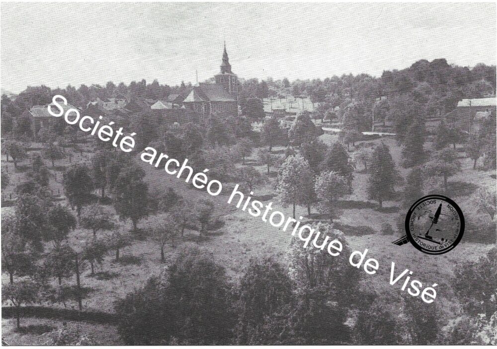 Carte postale - Saive "Panorama du Mosty" 1952