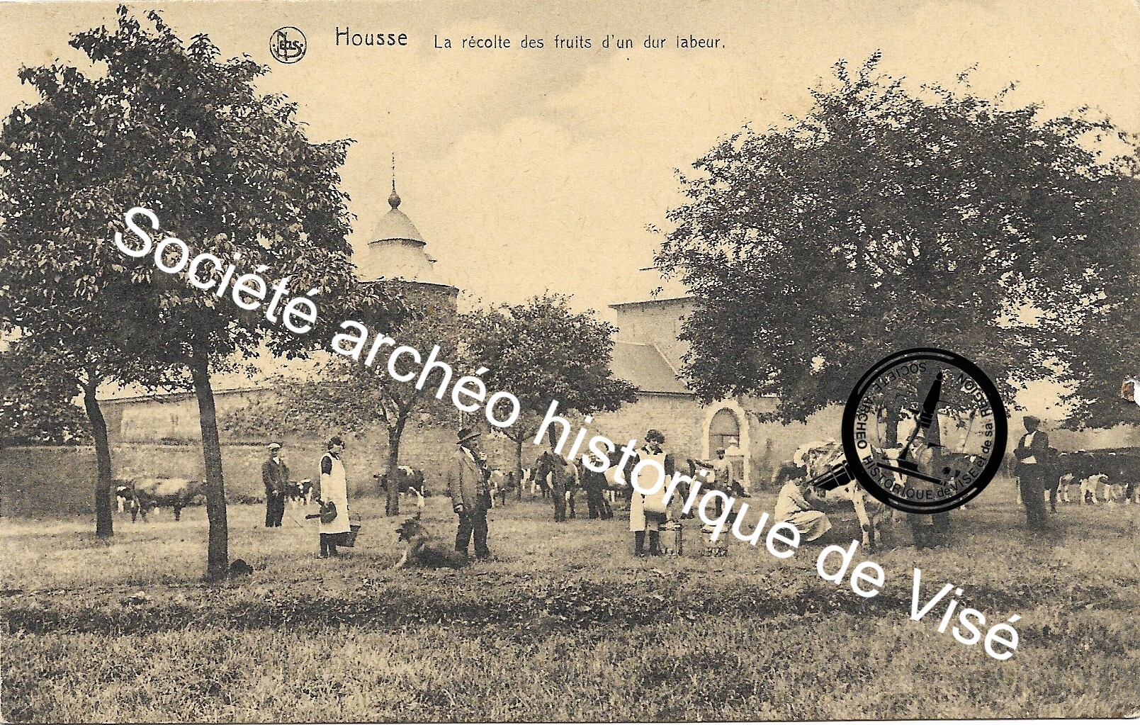 Carte postale - Housse "La récolte des fruits d'un dur labeur"