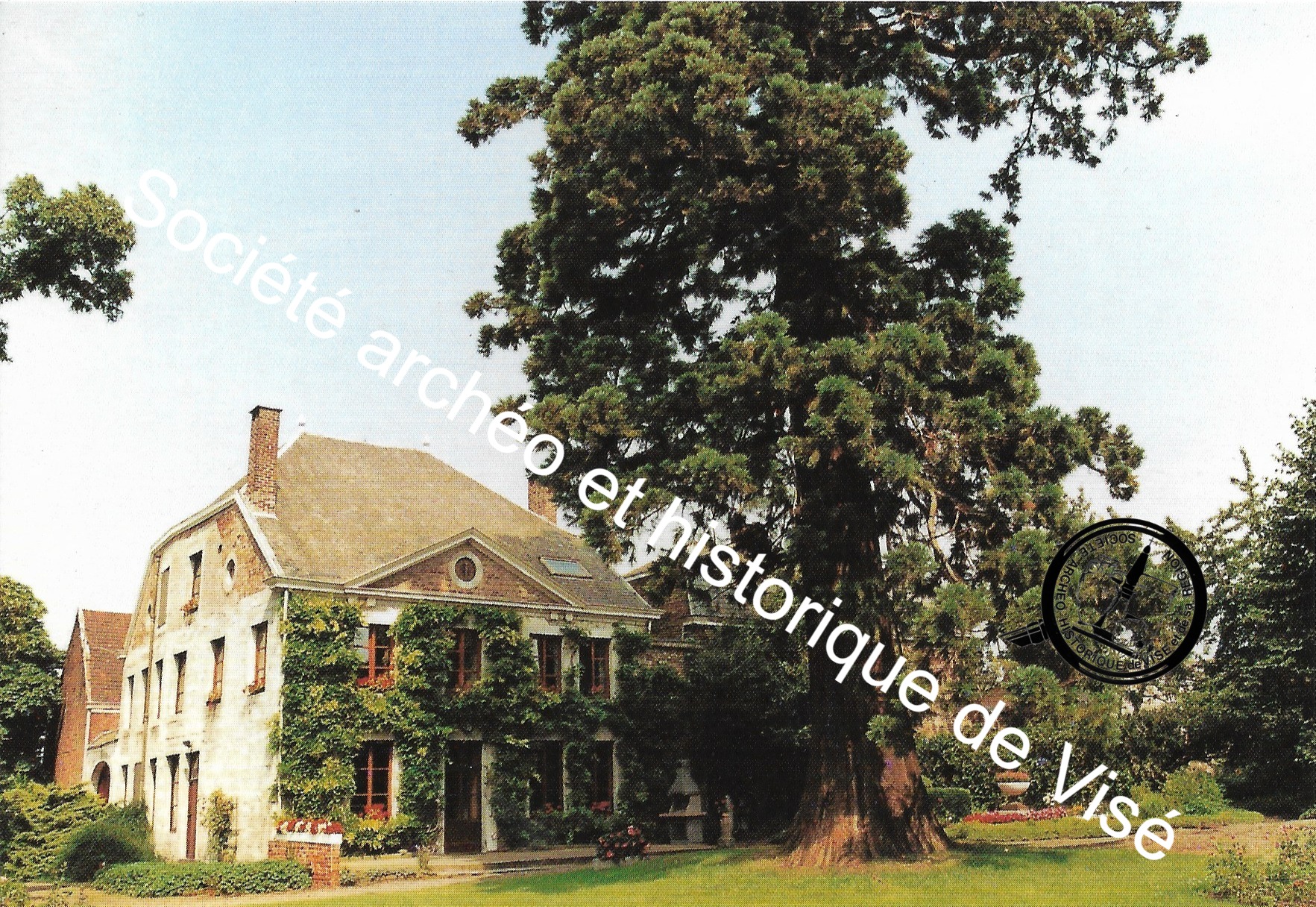 Carte postale - Richelle "Le château, rue des Hauteurs"