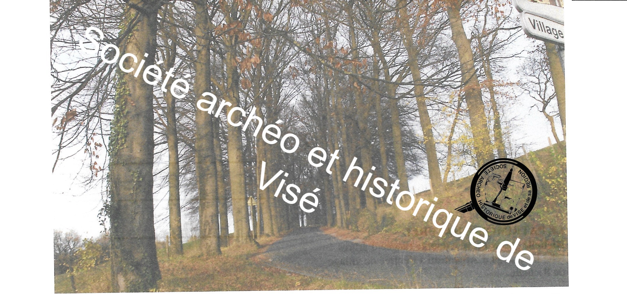 Carte postale - Richelle "Une drève à double rangée d'arbres relie le château d'Argenteau à l'entrée du village de Richelle"