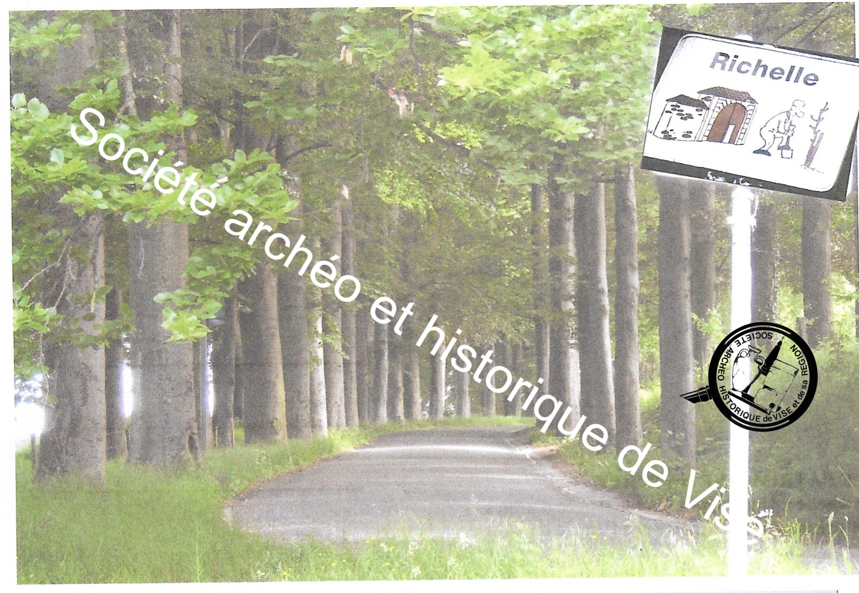 Carte postale - Richelle "Une drève à double rangée d'arbres relie le château d'Argenteau à l'entrée du village de Richelle"