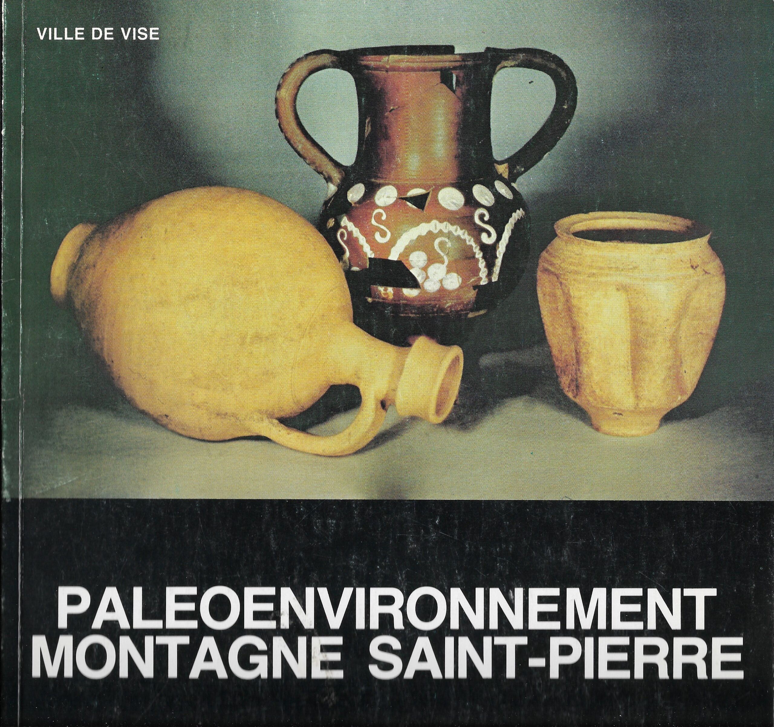 Paleoenvironnement Montagne Saint-Pierre