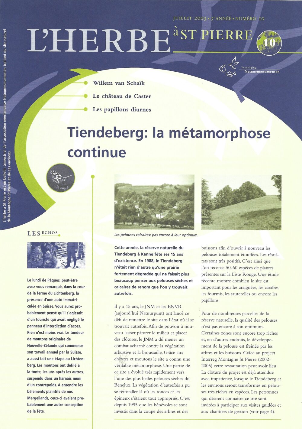 L'herbe à St Pierre n°10