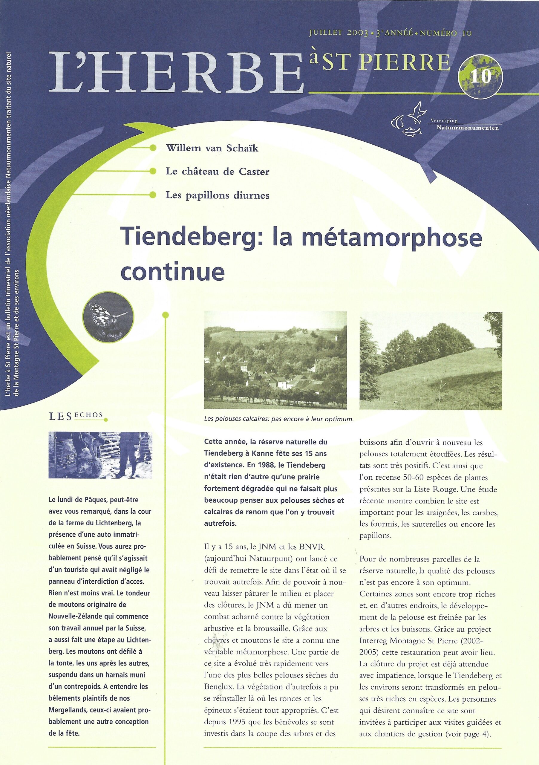L'herbe à St Pierre n°10