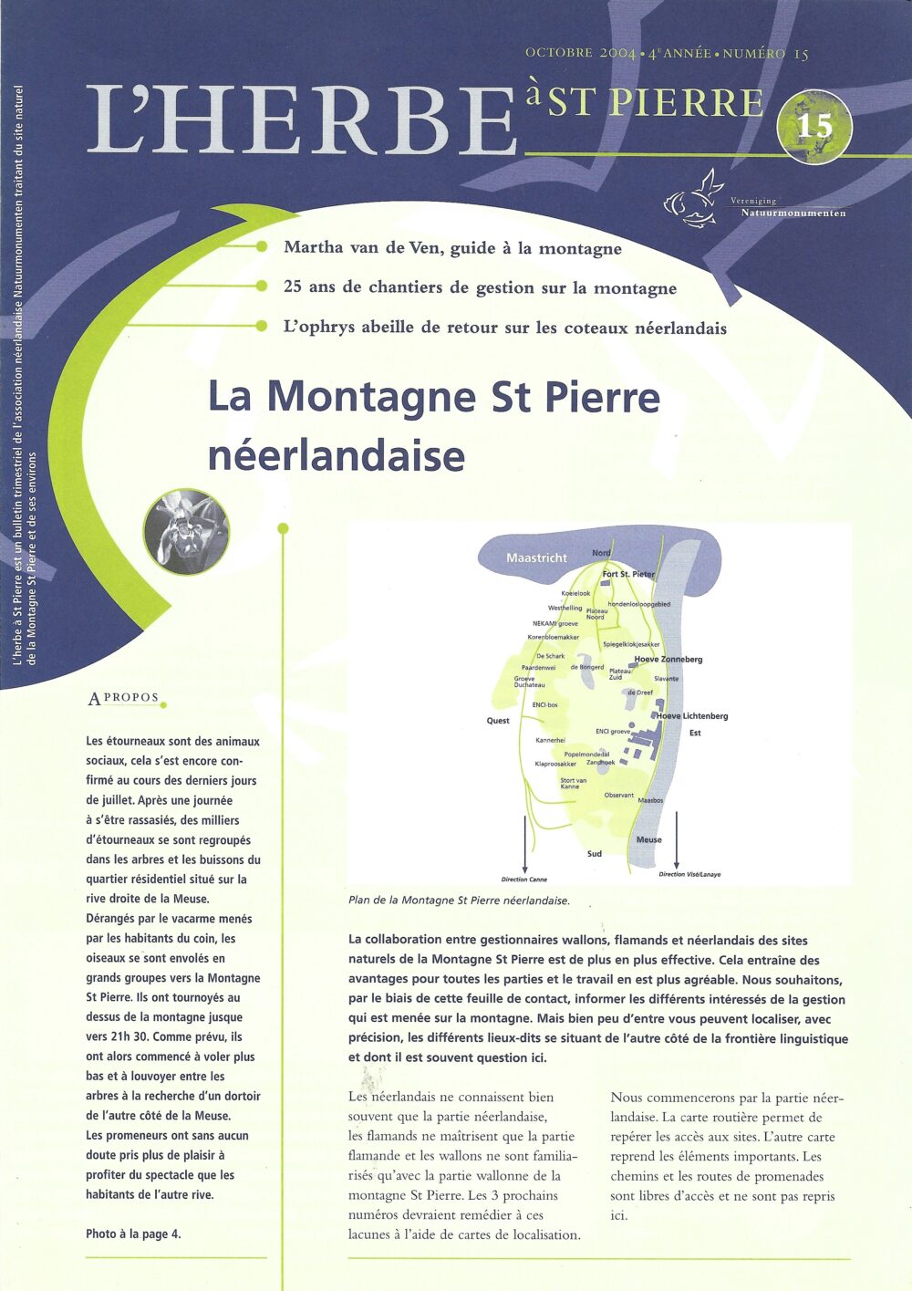 L'herbe à St Pierre n°15