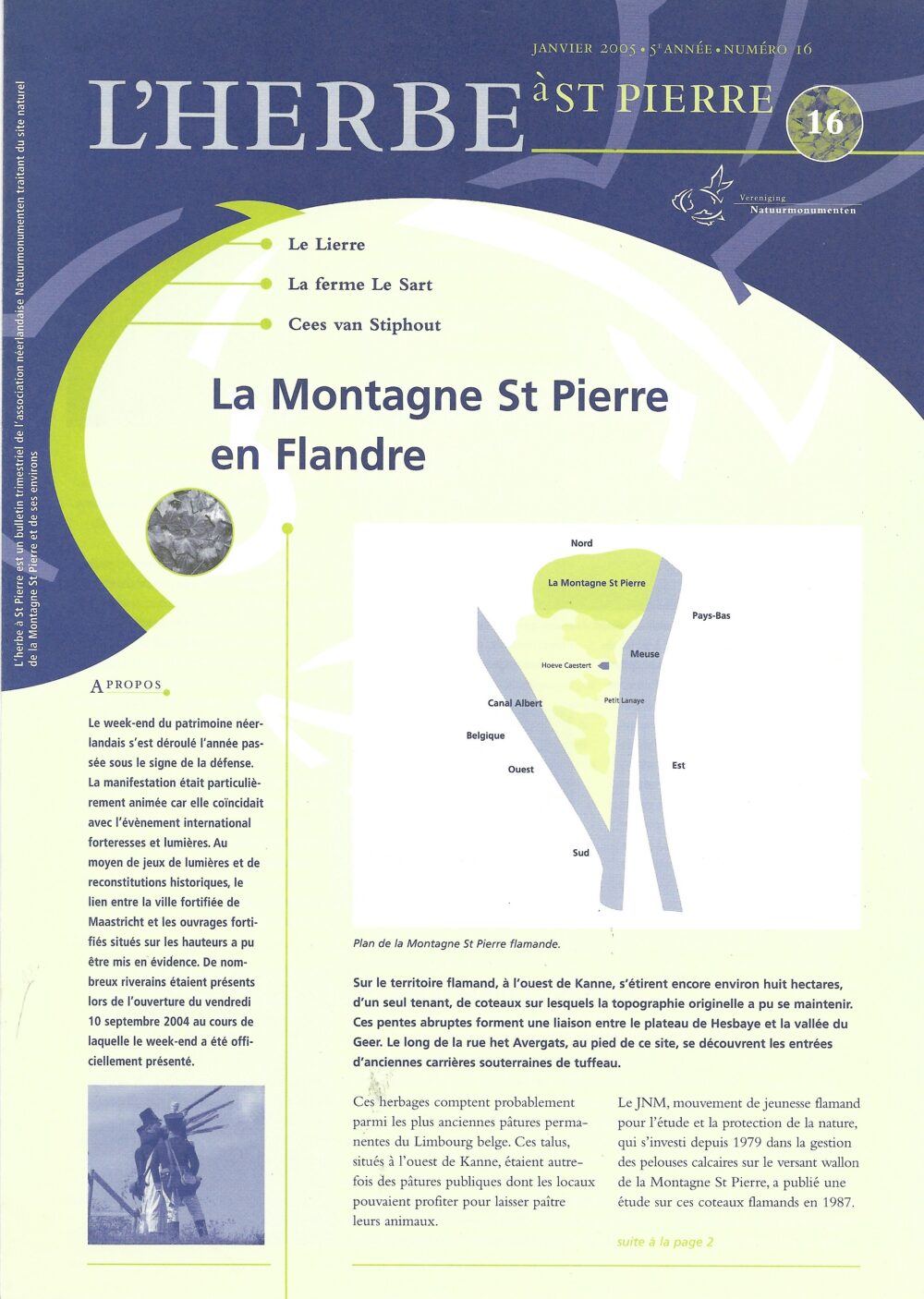 L'herbe à St Pierre N°16
