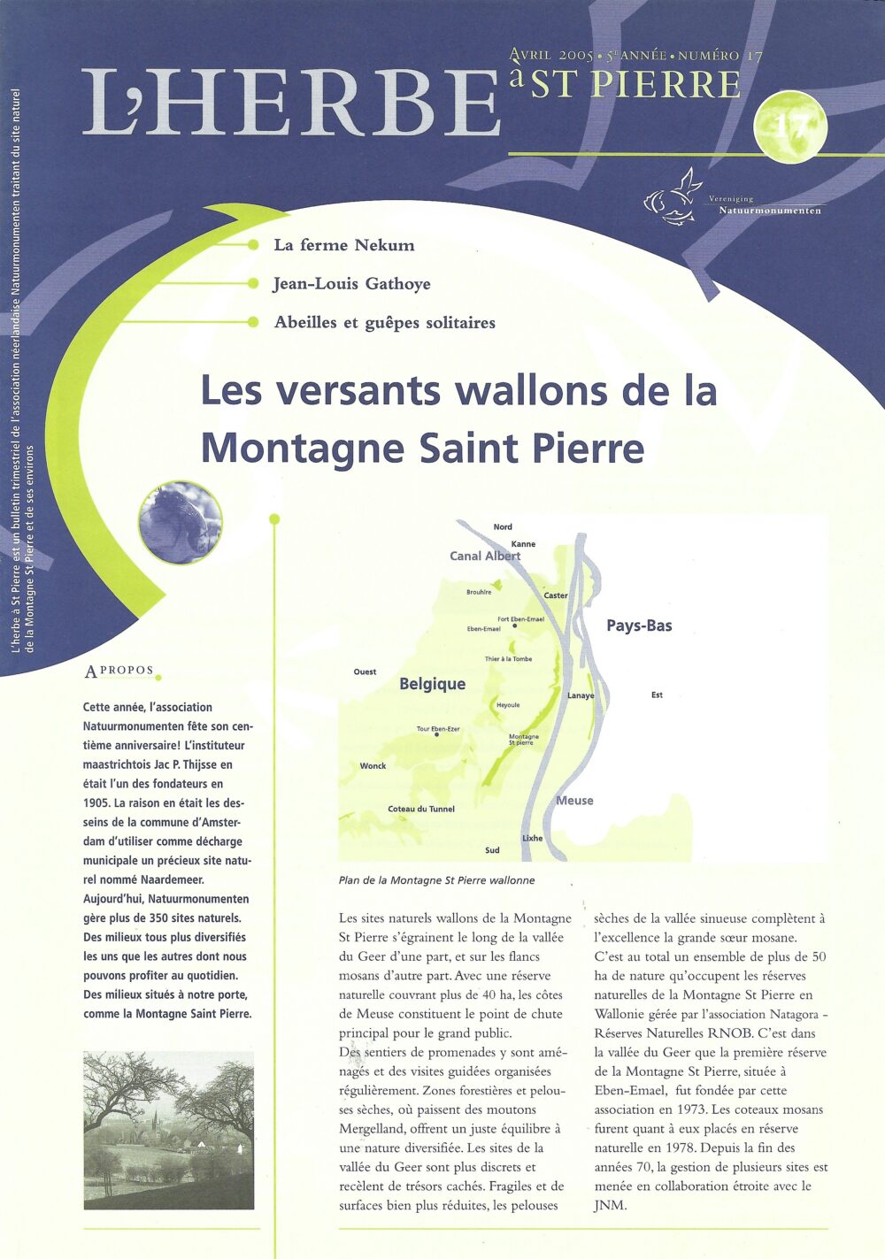 L'herbe à St Pierre n°17