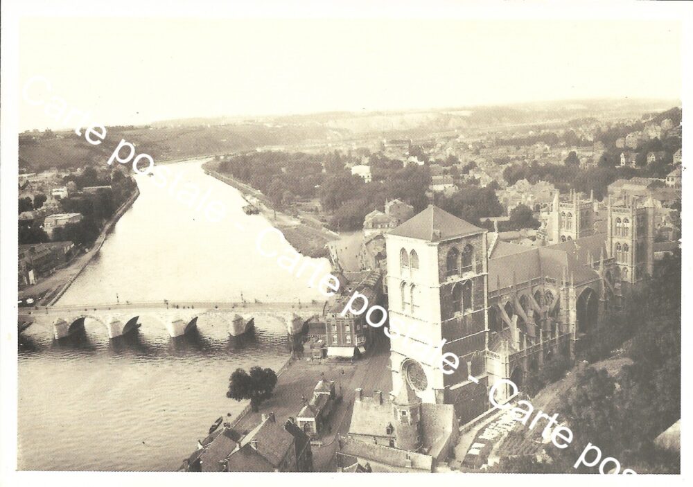 Carte postale - Huy "Panorama pris du fort"