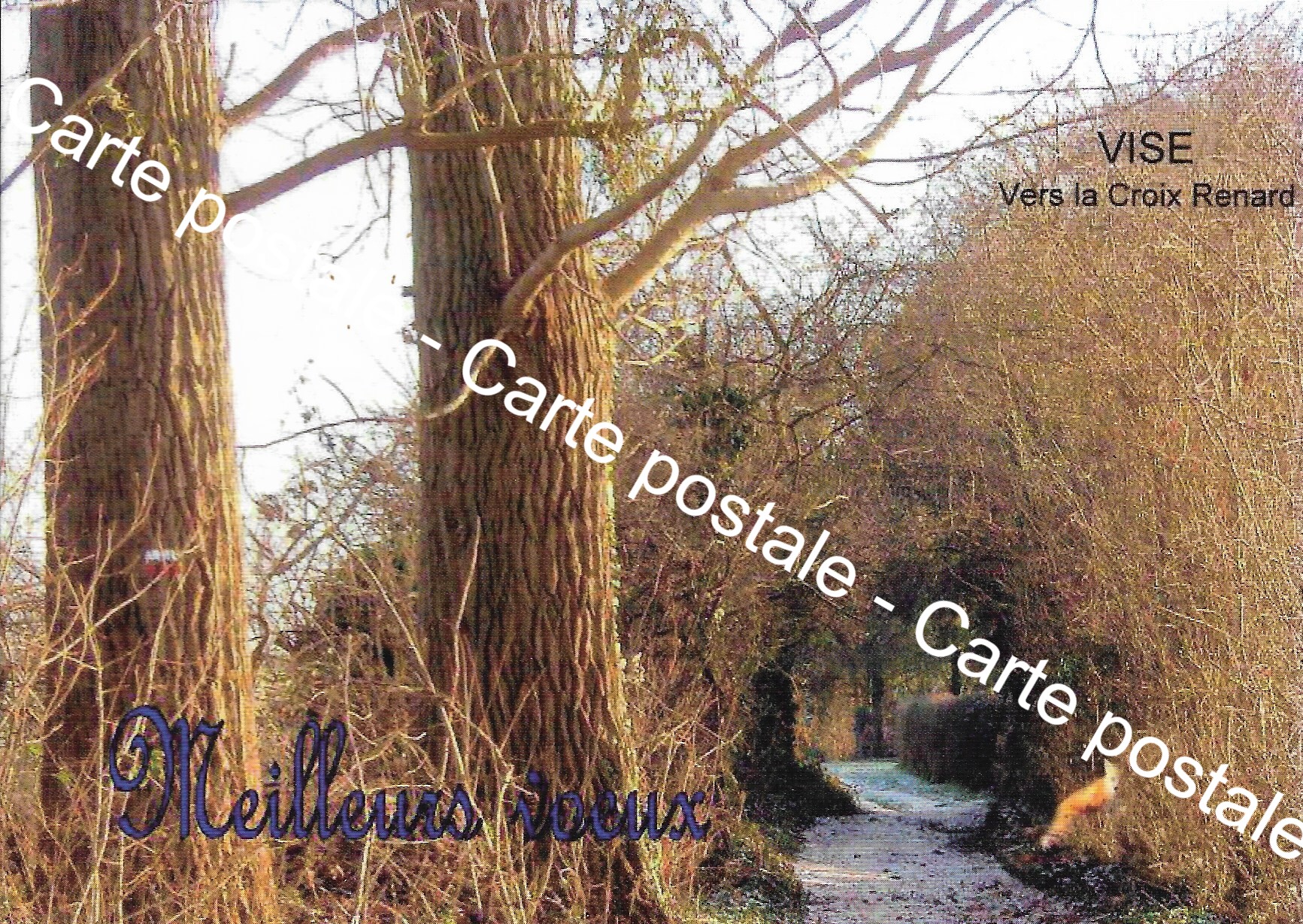 Carte postale - Visé "Meilleurs vœux"