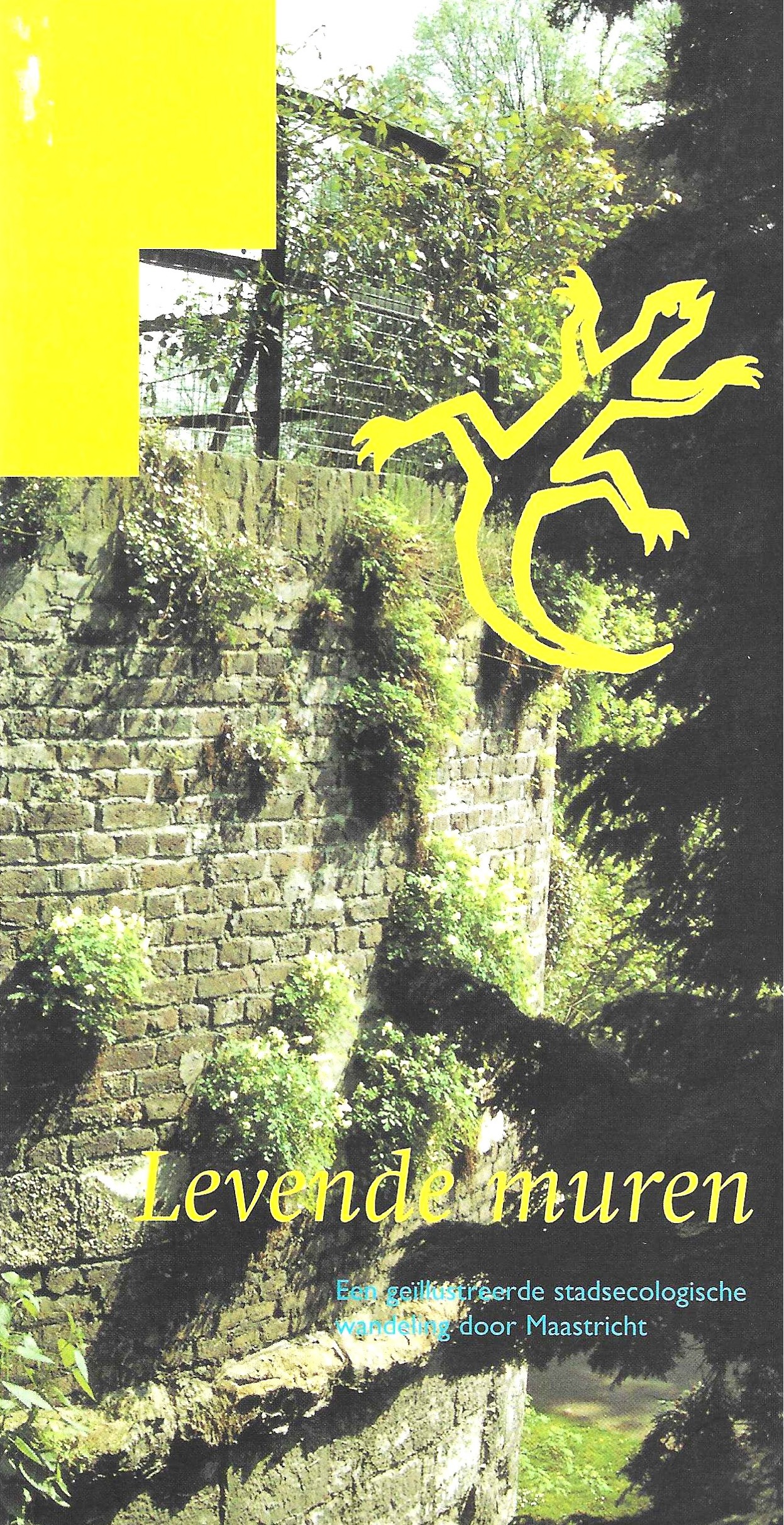 Levende muren, Een geïllustreerde stadsecologische wandeling door Maastricht