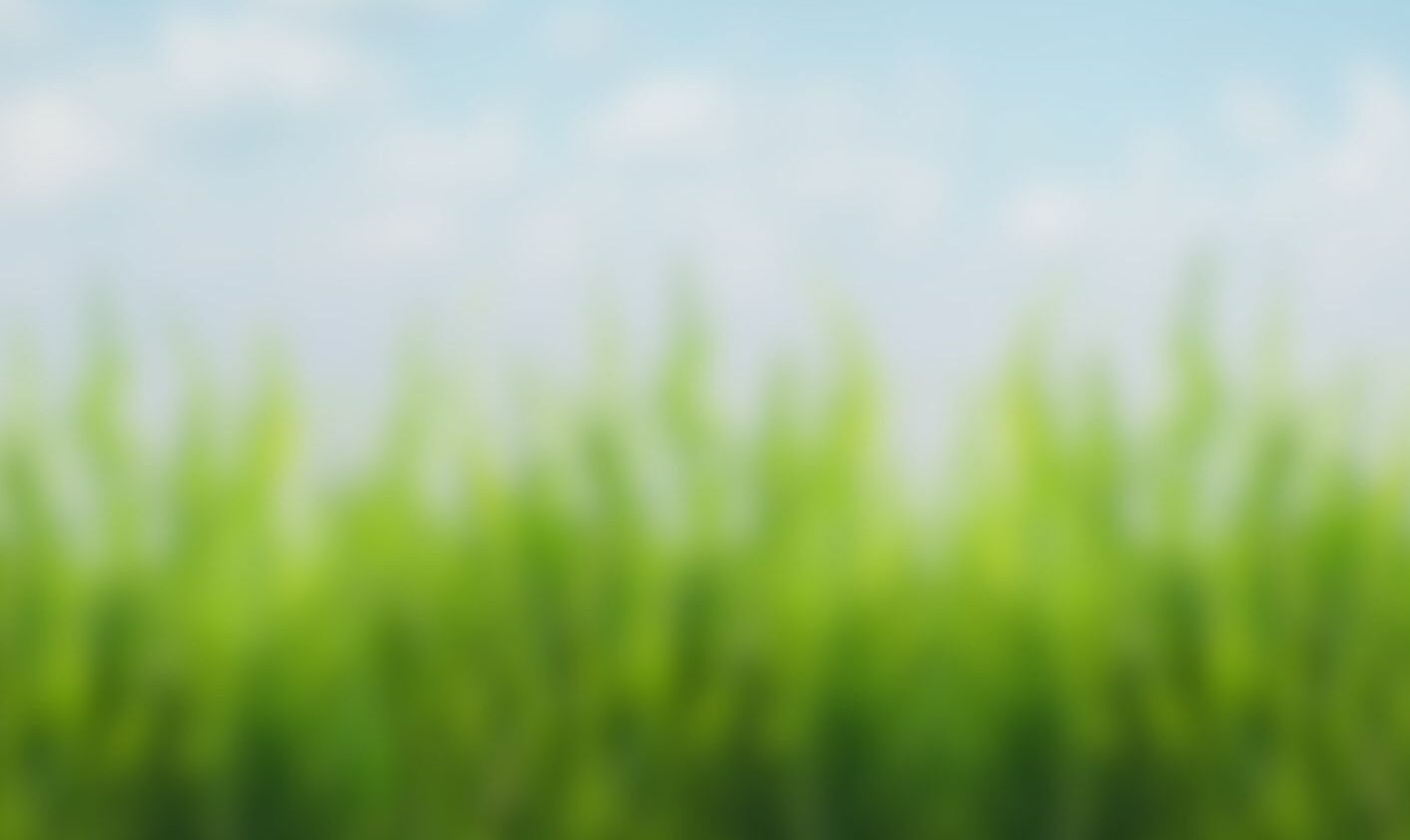 Affiche balade contée Mittéï