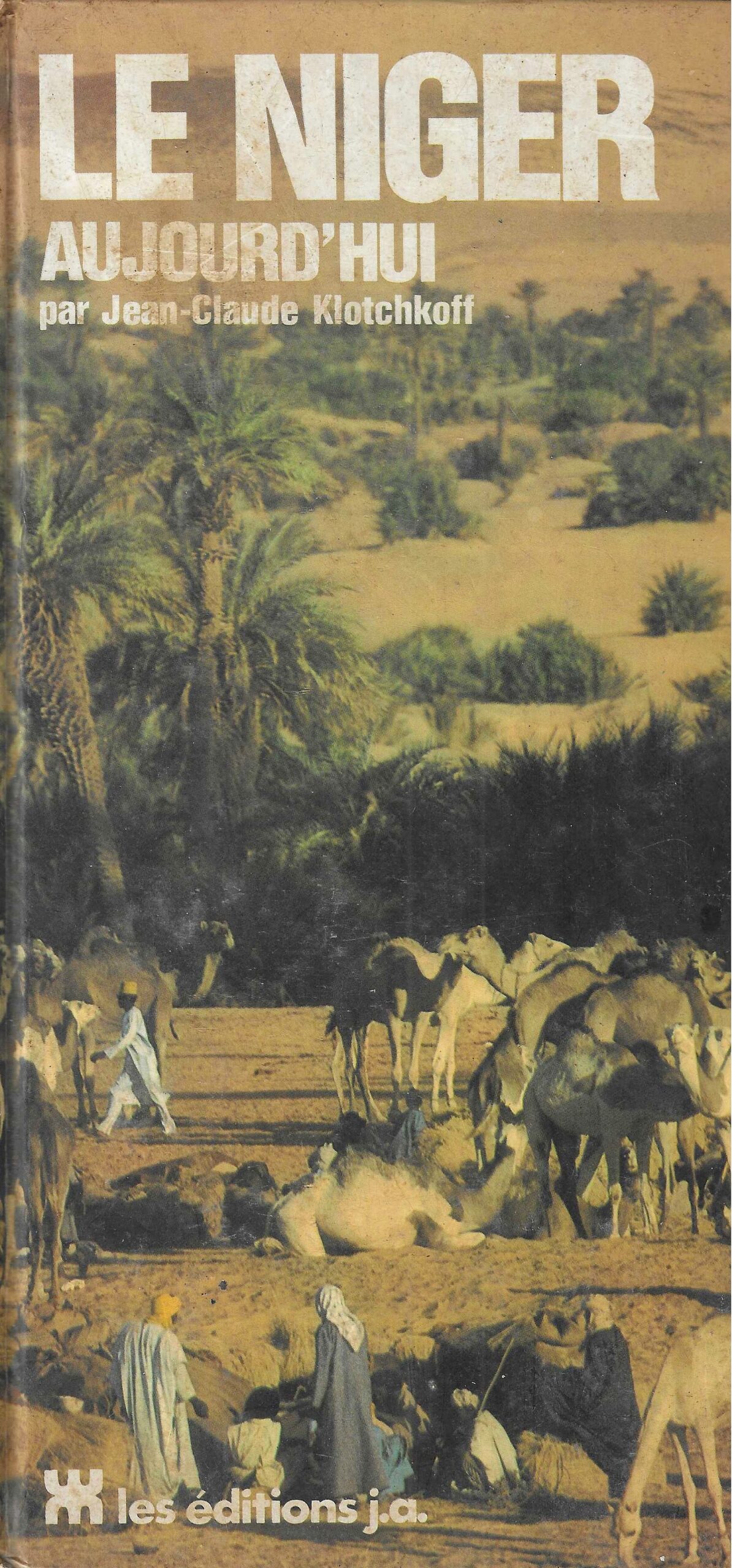 Le Niger aujourd'hui